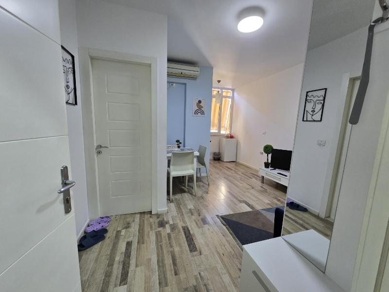 One-Bedroom Apartment image 4