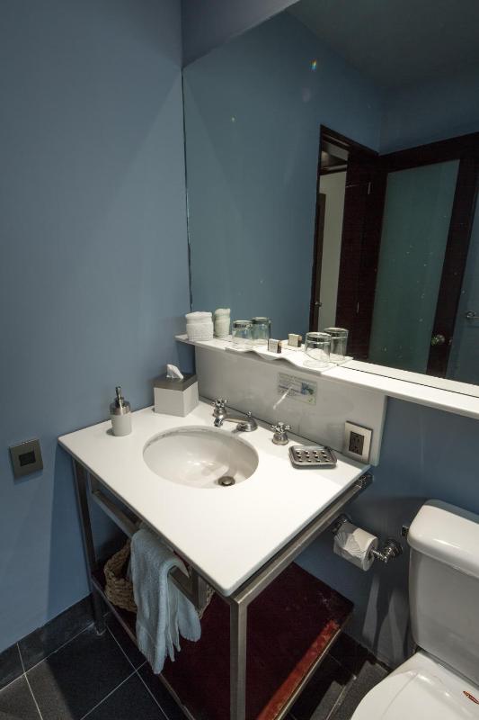FlowSuites Polanco - image 20