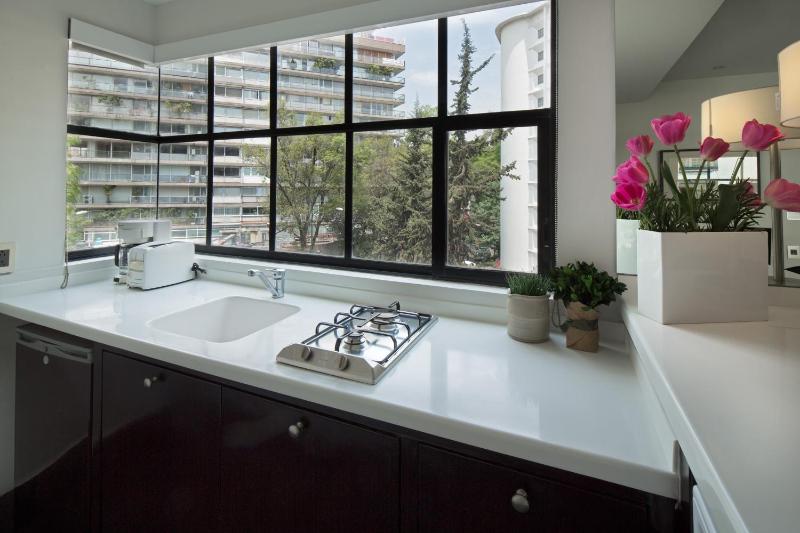 FlowSuites Polanco - image 3