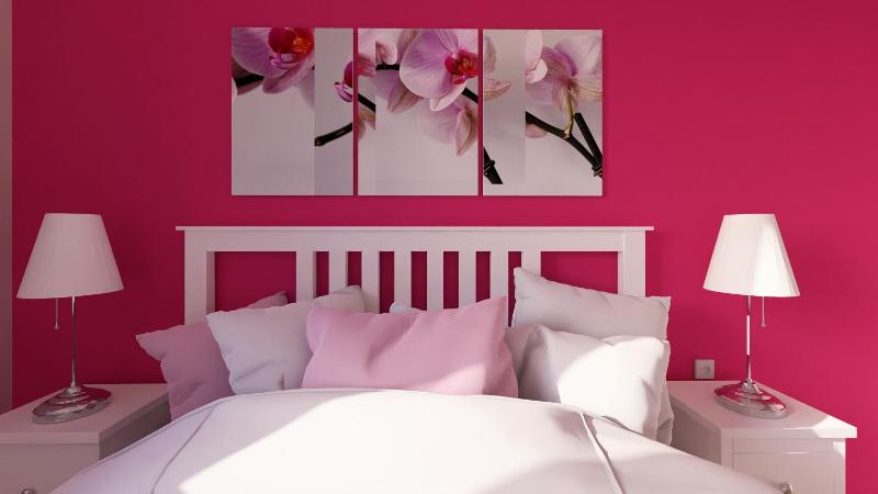 Deluxe Studio Orchid image 4