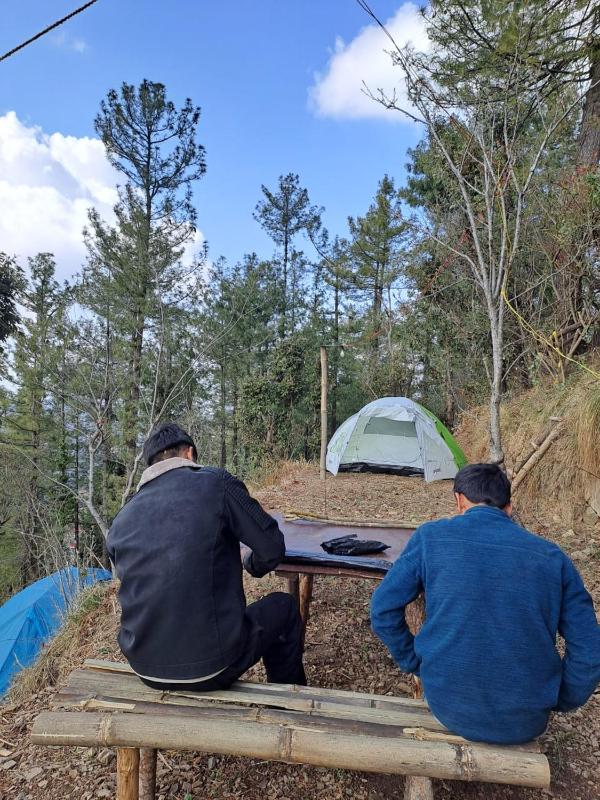 Delicate camp shimla - image 9