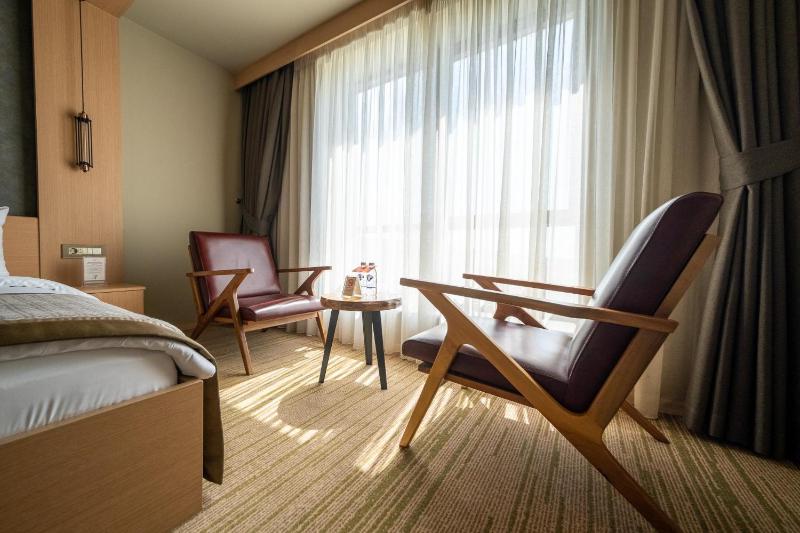 Superior Double Room image 4