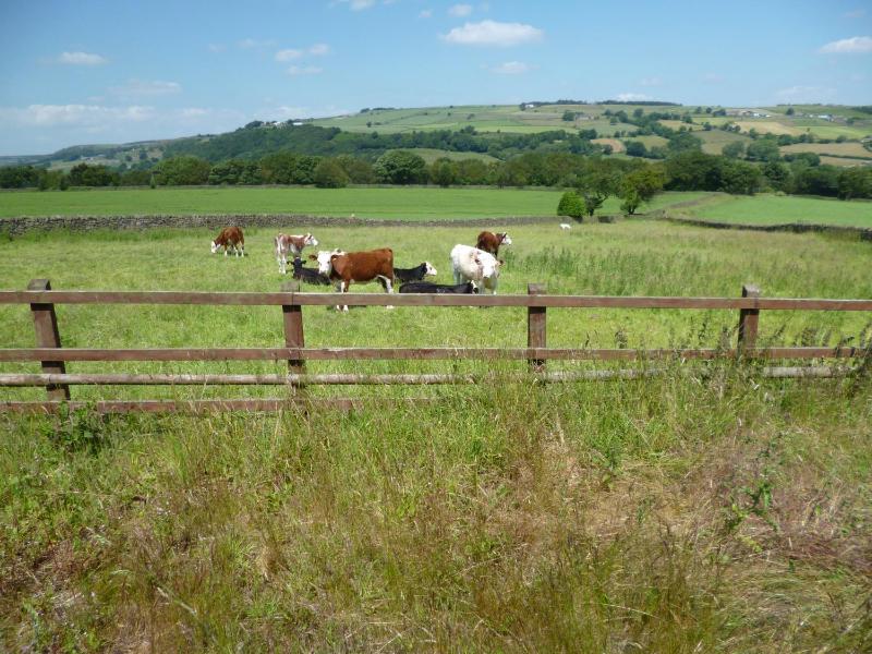 Padley Farm - image 40
