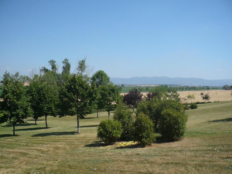 Casa dei Pini - image 2