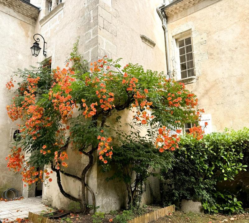 Six-Bedroom House image 3