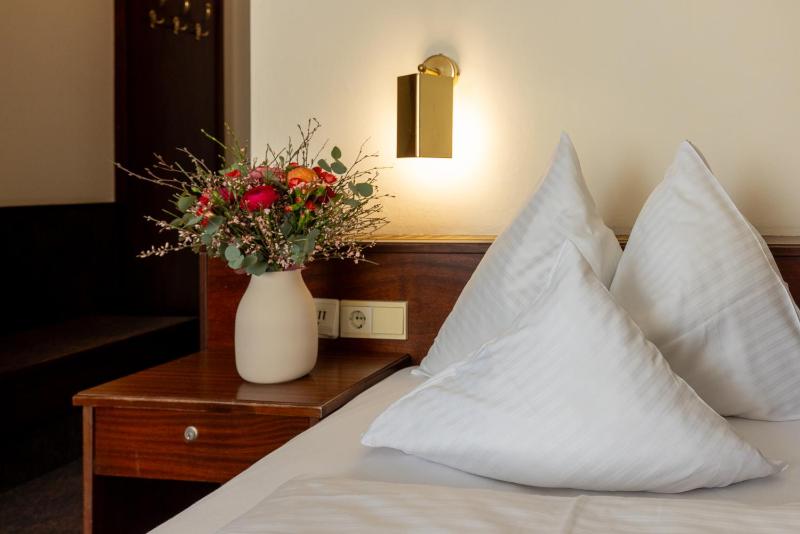 Single Room image 1