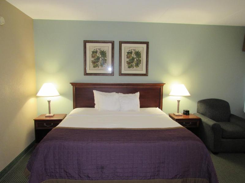 King Room - Non-Smoking image 3