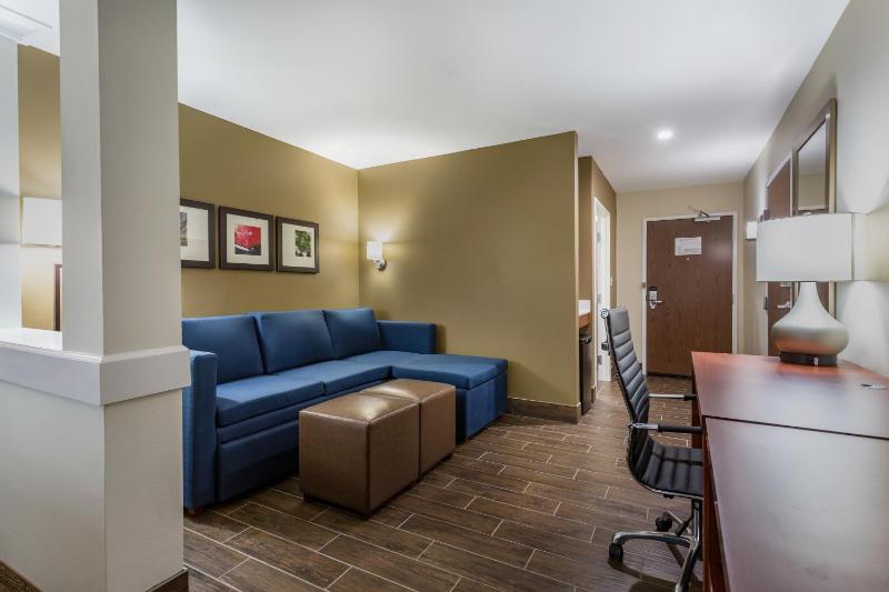 Standard King Suite with Sofa Bed image 4