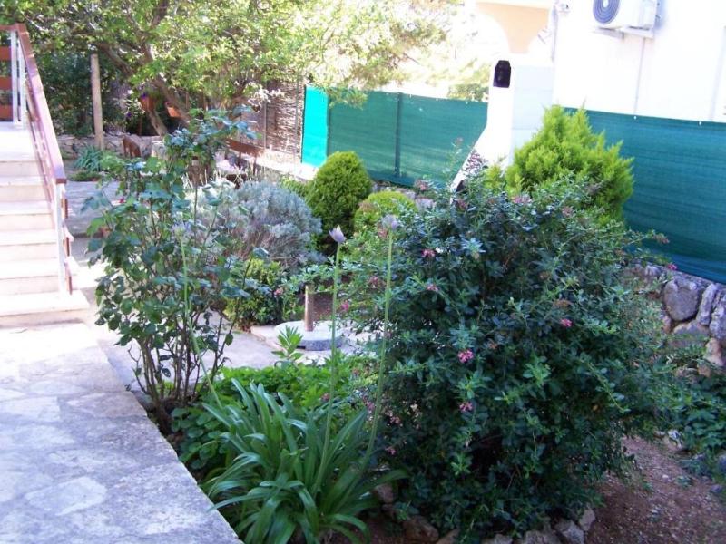 Apartments Maja - image 31