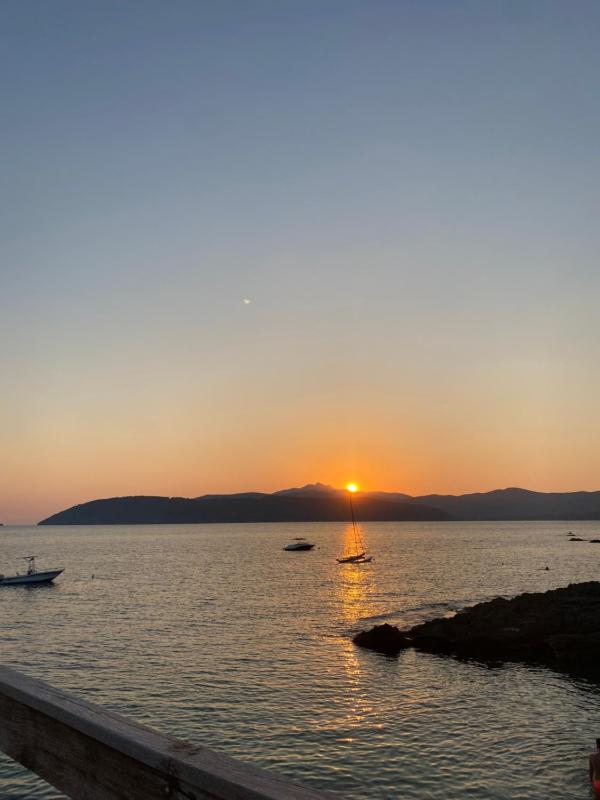Il Boschetto sul Mare - Goelba - image 14