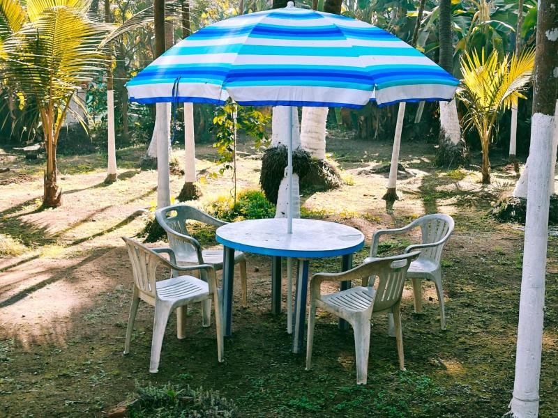 Savita Farmhouse - image 19