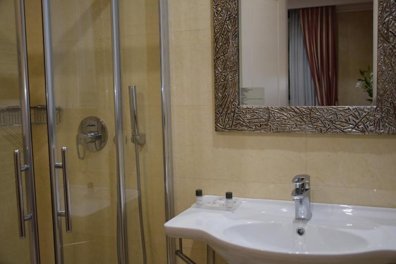 Standard Double or Twin Room image 4