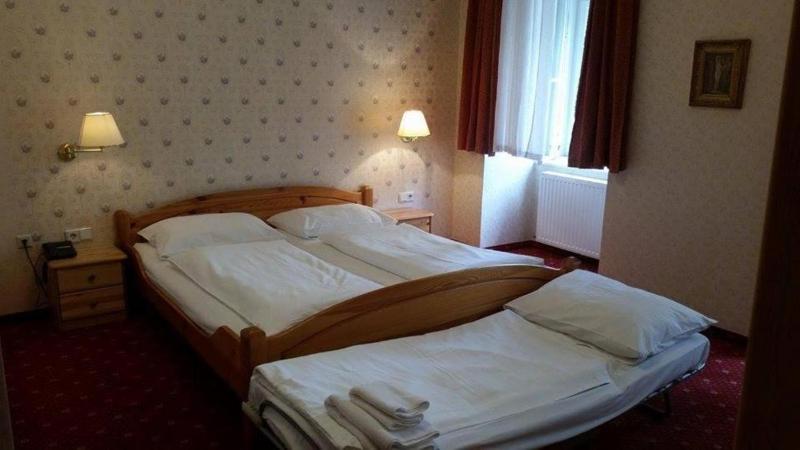 Hotel Pension Walzerstadt - image 5