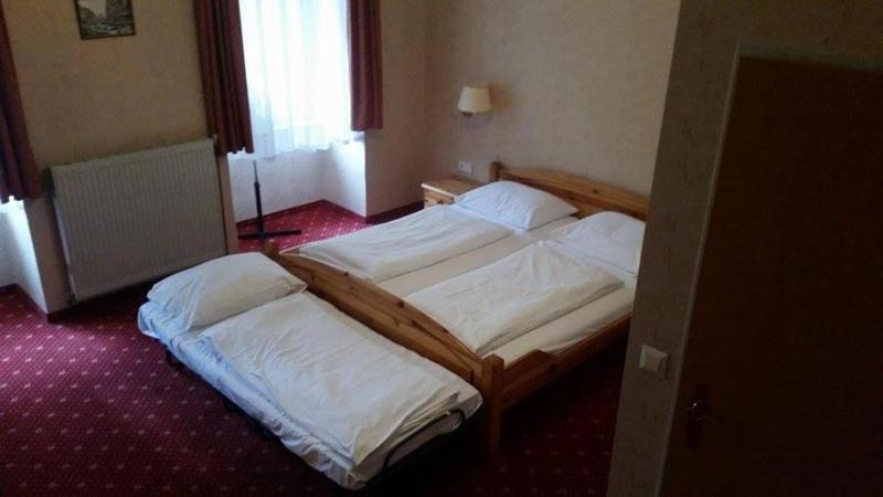 Hotel Pension Walzerstadt - image 9