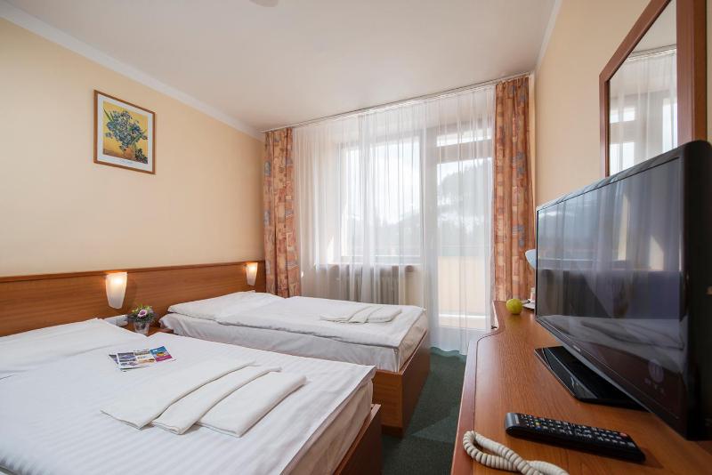 Standard Twin Room image 1