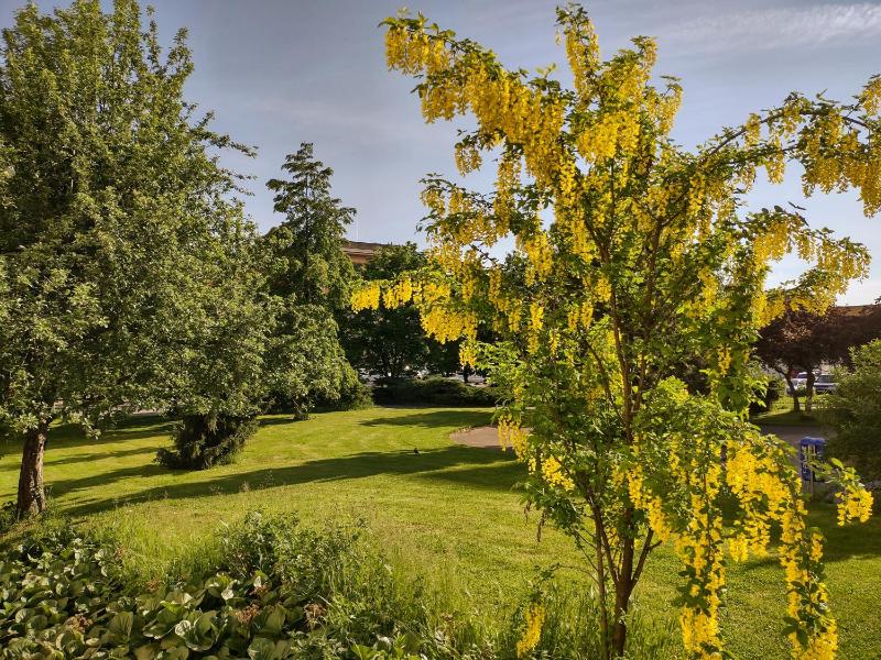 University Hotel - image 12
