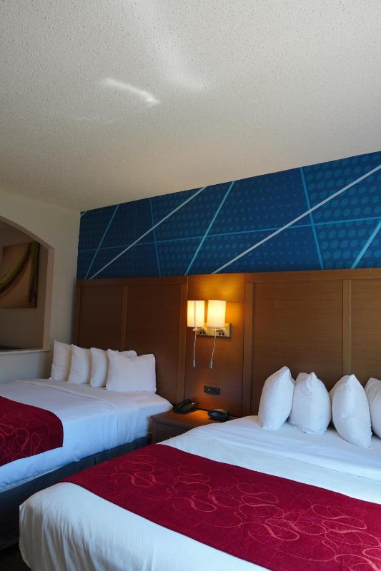 Double Suite image 2