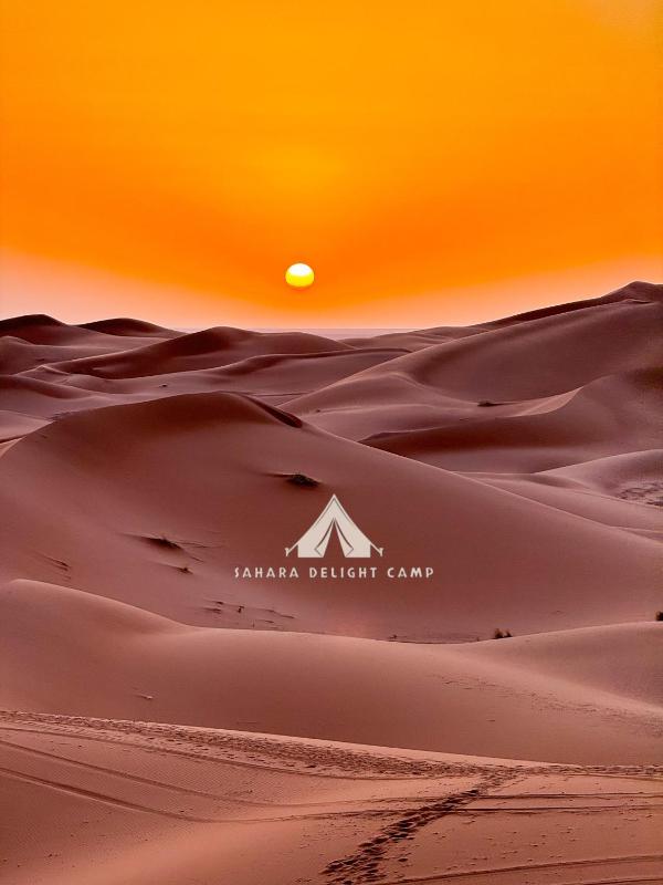 Sahara Delight Camp - image 5