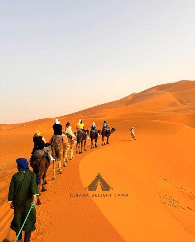 Sahara Delight Camp - image 31