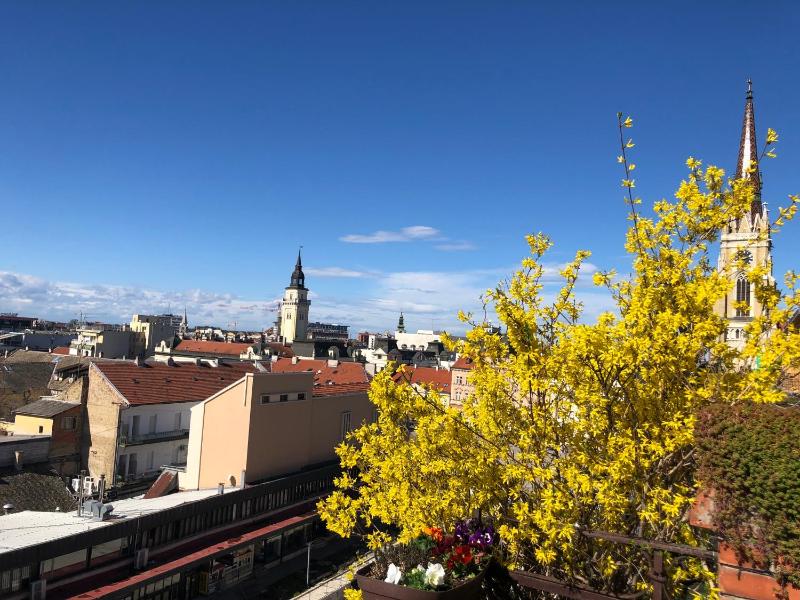 Penthouse Modena - image 12