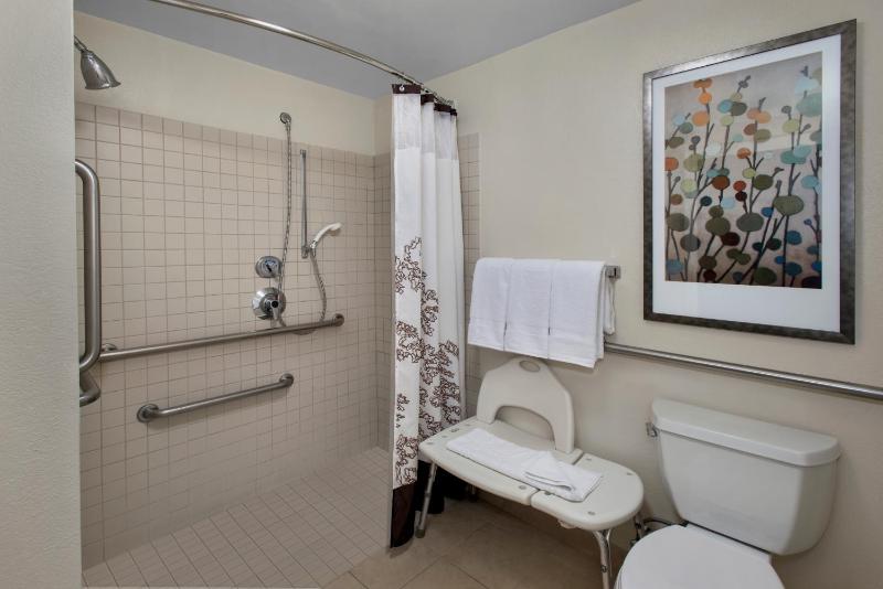 King Studio with Sofa Bed and Roll-in Shower - Mobility and Hearing Accessible image 1