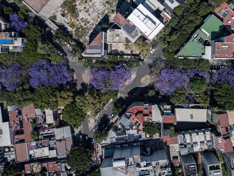 Indigo Veracruz Roma Nte Apt 1B I 1B - image 16