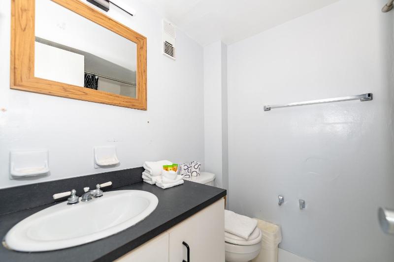 Art Deco Washingthon Apartment - image 29