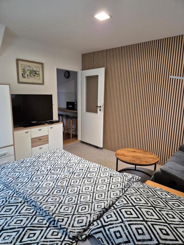 Standard Apartment image 2
