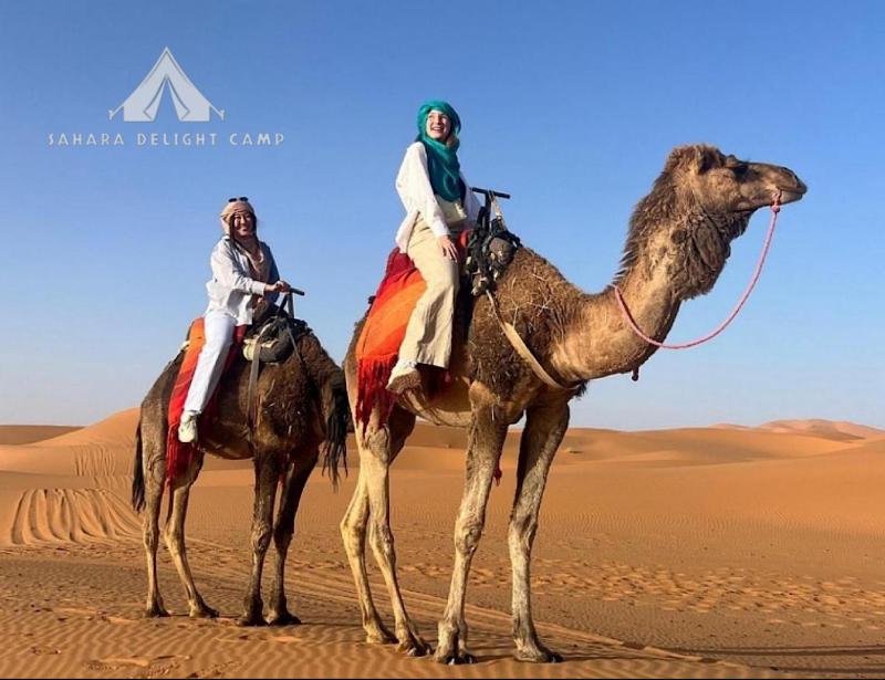 Sahara Delight Camp - image 22