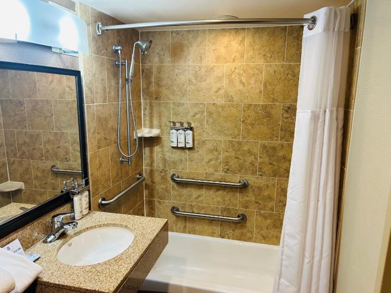 Double Room - Disability Access - Accessible Tub image 4