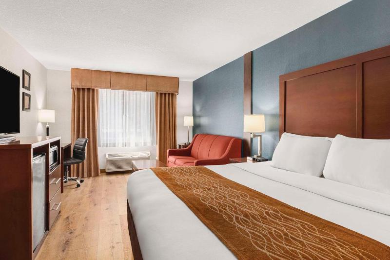 King Suite with Sofa Bed image 3