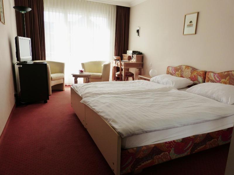 Hotel Rigi Vitznau - image 13