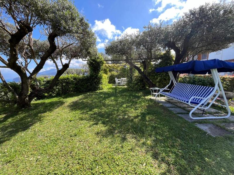 Sorrento Olive Tree Garden - image 10
