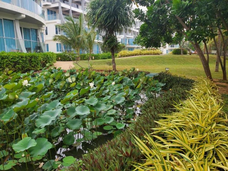 Beach Front Trinco - image 20