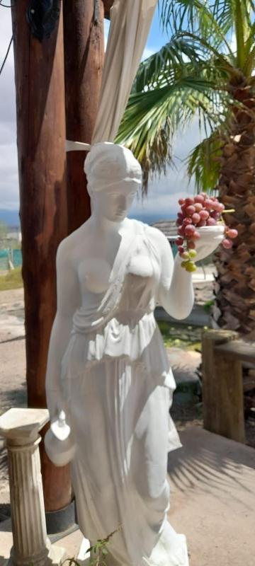 Mantram Armonía - image 16