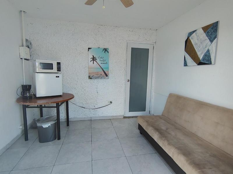 One-Bedroom Apartment image 4