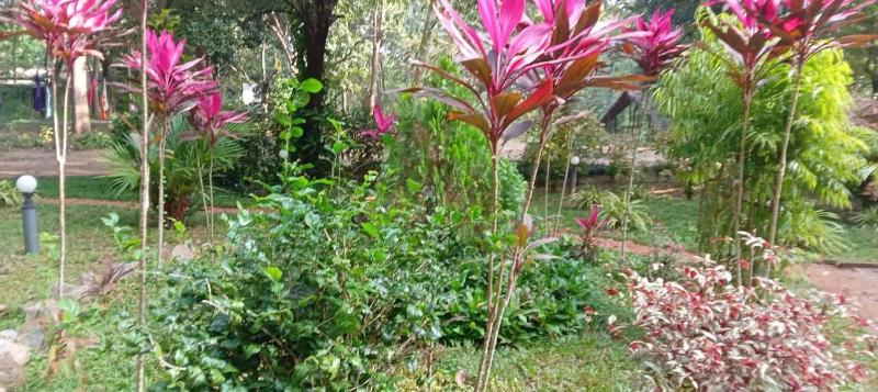 Hotel BEJEWELLED Sigiriya - image 2