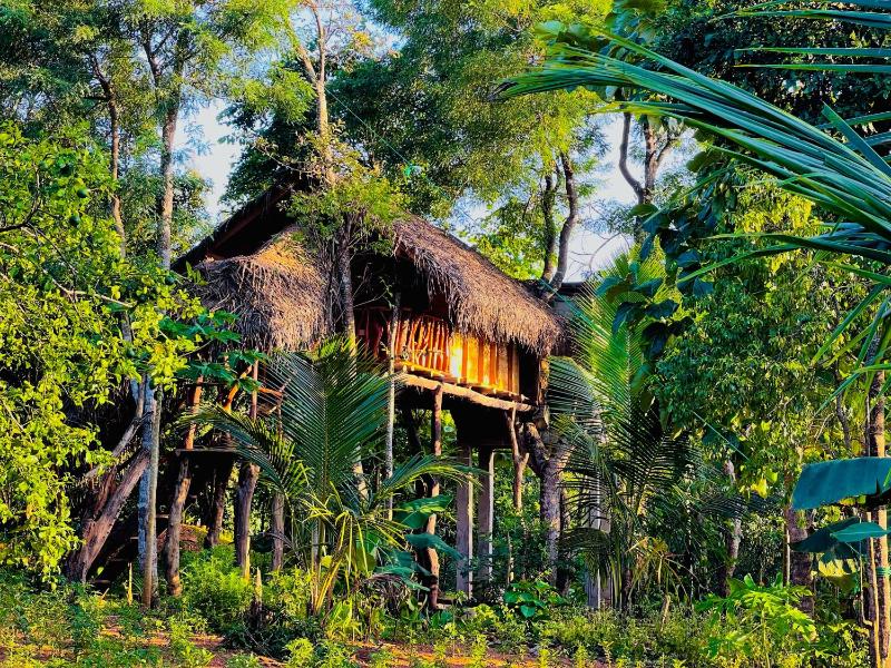 Green Land Tree House Sigiriya - image 5
