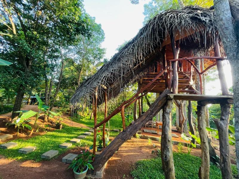 Green Land Tree House Sigiriya - image 4