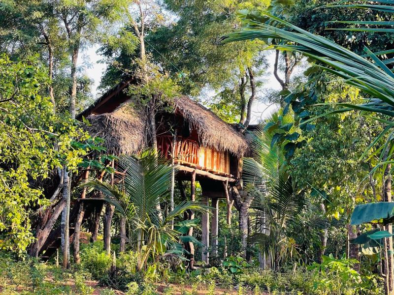 Green Land Tree House Sigiriya - image 14