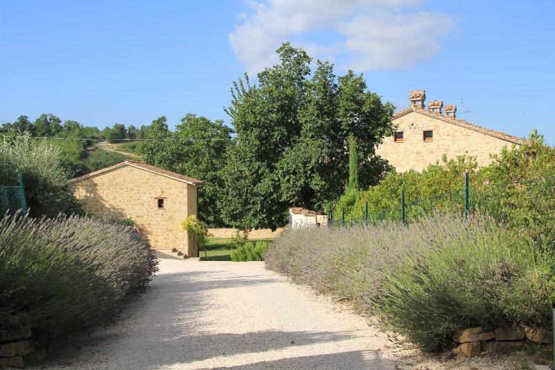 Villa dei Cavalli - image 42
