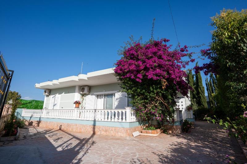 Vila Zeqo Muka 2 - image 5
