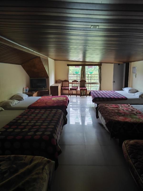 Munnar Days - image 3
