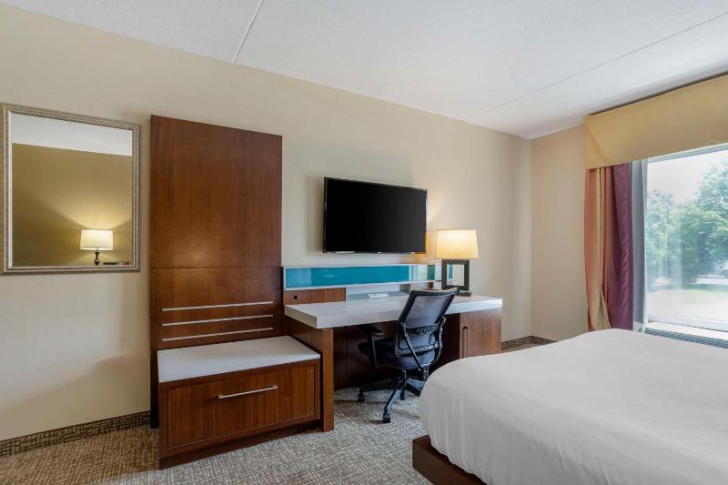 King Suite - Non-Smoking image 3