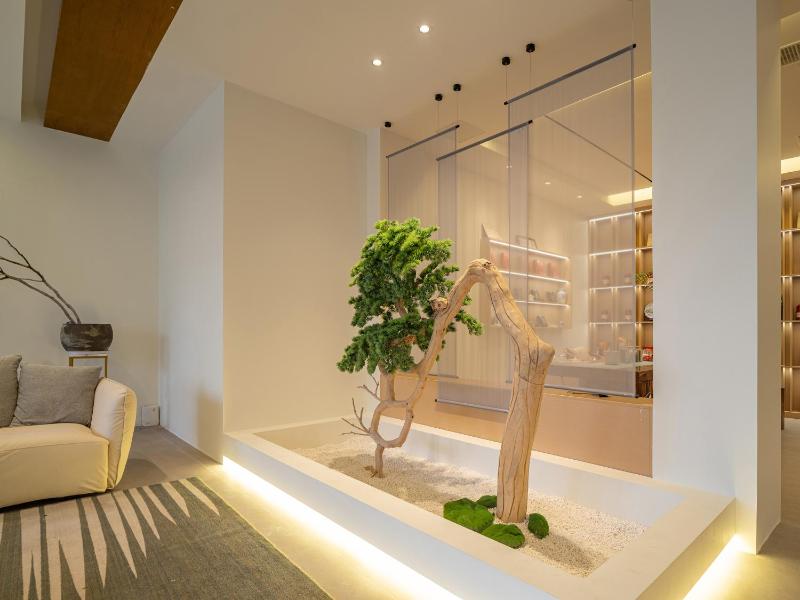 Zhangjiajie CLOUD Zhenxi Hotel- Near Forest Park EastGate about 10 Min Walk - English Butler Free Luggage Storage Tour Plan -reserve tickets for various scenic spots-Self-Service LaundryFree coffee Chinese tea - image 12