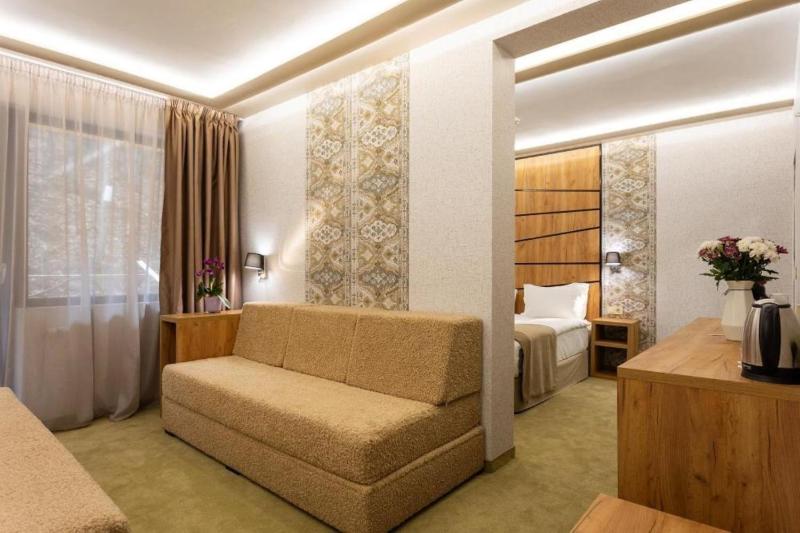 Superior One-Bedroom Suite image 4