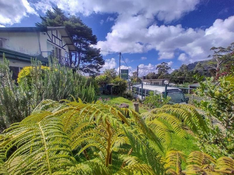 Blossomwell Bungalow - image 37