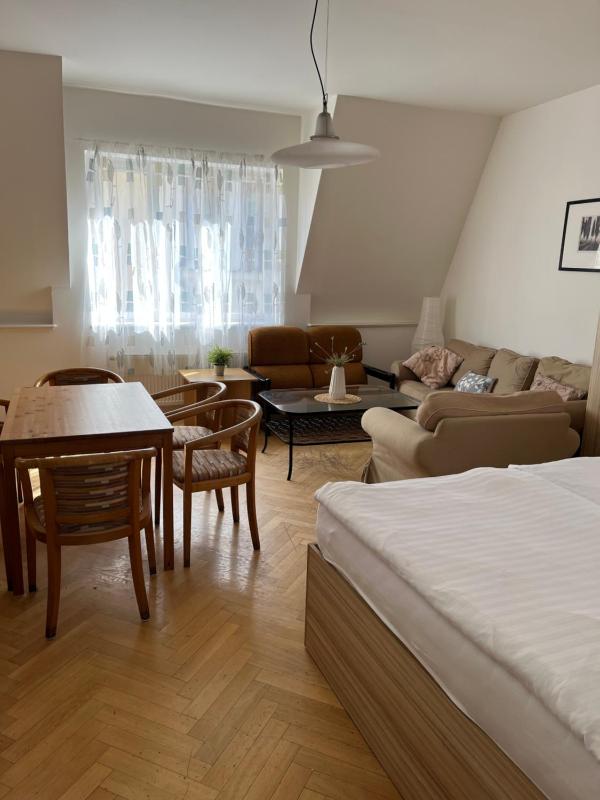 Standard Apartment image 4