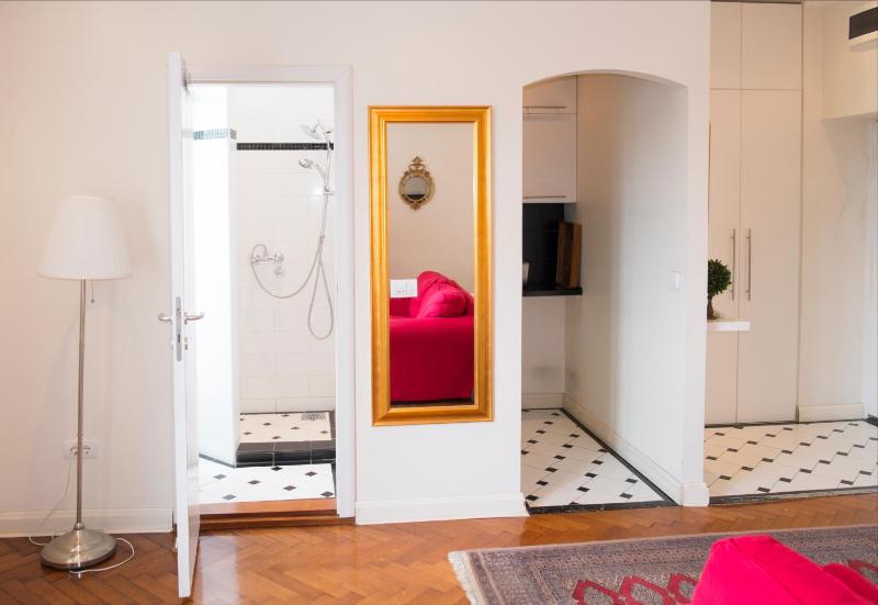 Studio Apartment image 4