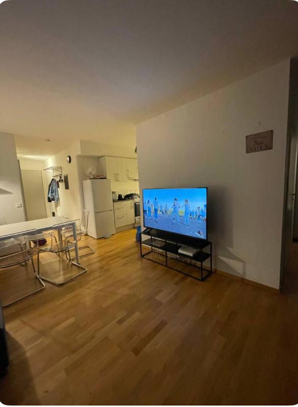 City Center Oslo R9 3 bedrooms - image 6
